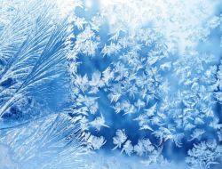 冬天冰花图片蓝色背景冰花摄影高清图片