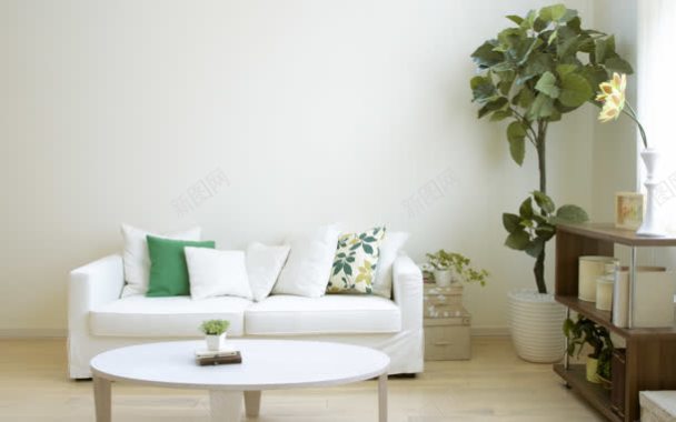 室内绿植现代沙发背景