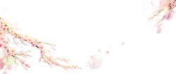 花枝藤蔓浅粉色花朵背景高清图片