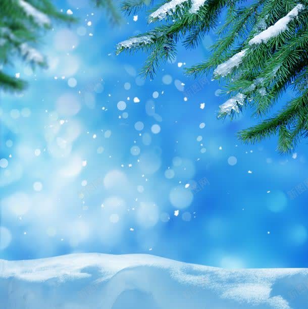 雪地与光斑jpg设计背景_88icon https://88icon.com 光斑 其它类别 图片素材 松枝 背景花边 雪地 雪地与光斑图片 雪地与光斑图片素材下载 雪花
