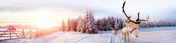 冬季雪山松树林麋鹿海报背景背景