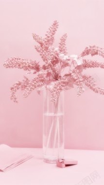 粉色花蕊花瓶背景