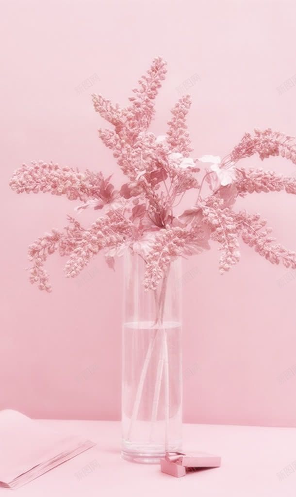 粉色花蕊花瓶jpg设计背景_88icon https://88icon.com 粉色 素材 花瓶 花蕊
