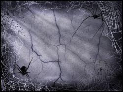 蜘蛛网恐怖背景高清图片