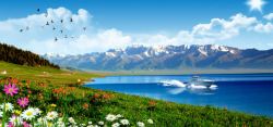 游艇新疆雪山湖水草原背景高清图片