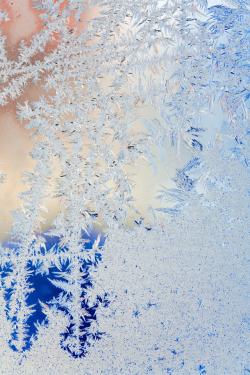 冬季雪景扁平素材下载冬天冰花高清图片