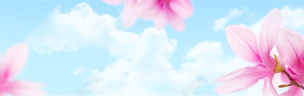 美容banner背景jpg设计背景_88icon https://88icon.com 美容banner 美容医院 美容模特 美容网站