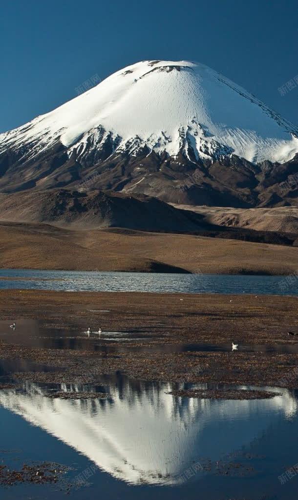 蓝天下的雪山山峰jpg设计背景_88icon https://88icon.com 山峰 蓝天 雪山