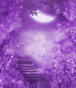 紫色森林月光下的森林美景高清图片
