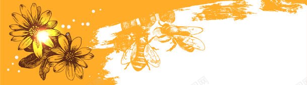 精美蜂蜜元素banner背景jpg设计背景_88icon https://88icon.com 卡通画 蜜蜂 黄色背景