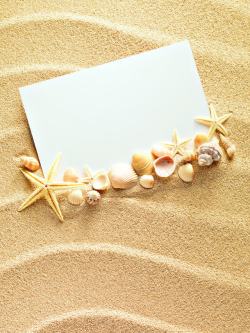 美丽贝壳创意沙滩贝壳背景高清图片
