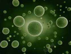 医疗卫生科学细胞细菌高清图片