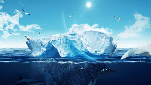 水面上的冰山南极动物海报背景背景
