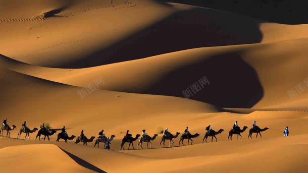 骆驼沙漠行走队伍背景