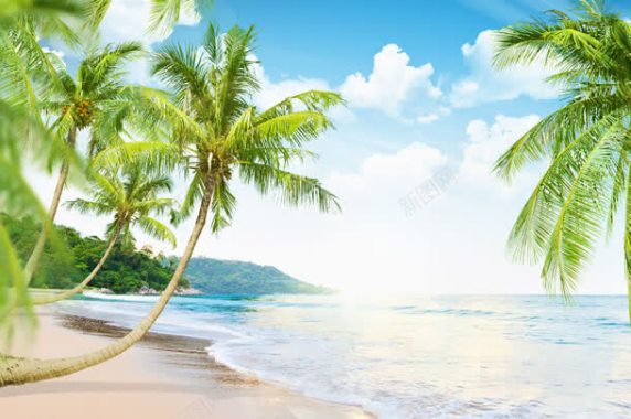 蓝天白云与椰树海滩风景背景