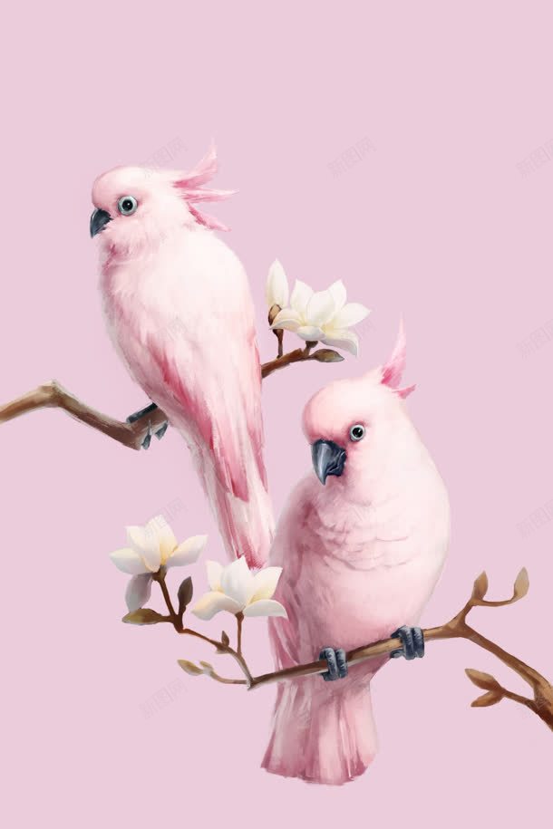 淡粉色可爱小鹦鹉jpg设计背景_88icon https://88icon.com 可爱 粉色 鹦鹉