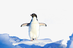 矢量冰面冰山上的呆萌企鹅高清图片