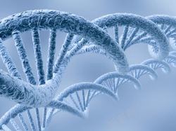 基因生物DNA基因结构高清图片