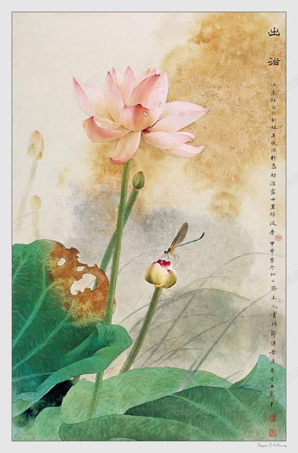 邹传安国画寄荷花绽放jpg设计背景_88icon https://88icon.com 国画 绽放 荷花