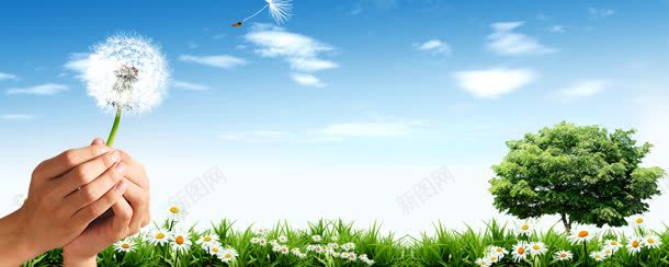 绿化环保展板banner背景jpg_88icon https://88icon.com psd 展板背景图片 希望 模板 海报 环保 纯色展板背景 绿化 绿色背景 网站建设 蒲公英 蒲公英图 被风吹走的蒲公英