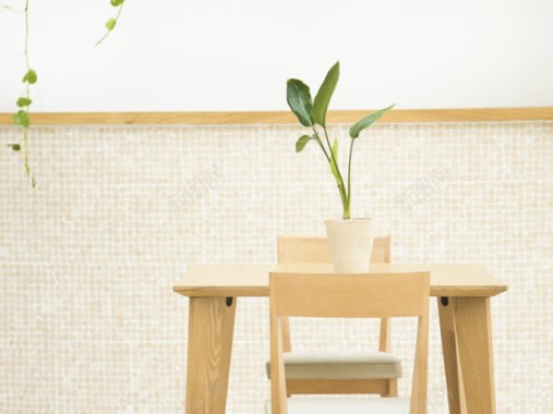 马赛克墙面绿植物木质椅子背景