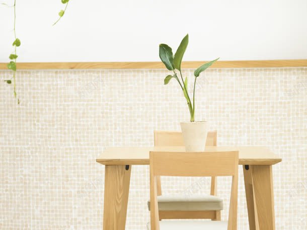 马赛克墙面绿植物木质椅子jpg设计背景_88icon https://88icon.com 墙面 木质 椅子 植物 马赛克