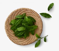 绿色木盘晾晒茶叶素材