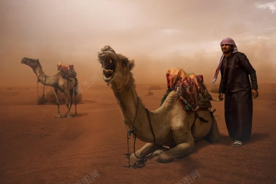 沙漠上的骆驼商队海报背景背景