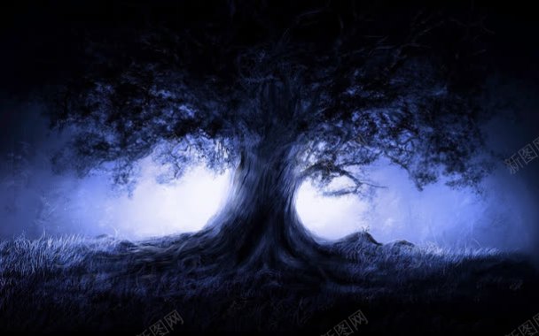 夜晚的大树海报背景背景