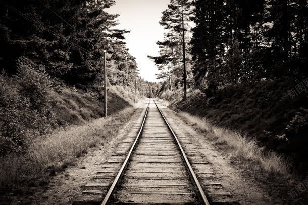 黑白树林铁道铁路背景jpg设计背景_88icon https://88icon.com 树林 背景 铁路 铁道 黑白