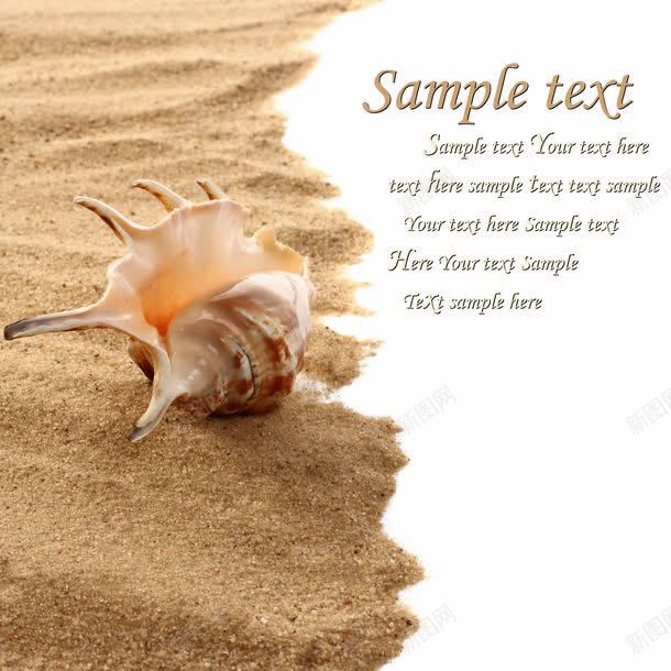 海螺与沙滩jpg设计背景_88icon https://88icon.com 图片素材 墨镜 太阳镜 底纹背景 沙子 沙滩背景 海洋海边 海滩 海螺 海螺与沙滩图片 海螺与沙滩图片素材下载 眼镜 背景图片 背景花边