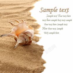 海螺与沙子图片海螺与沙滩高清图片