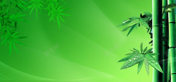 唯美背景竹子底纹jpg设计背景_88icon https://88icon.com 光点 唯美展板模板背景底纹模板 夏天 底纹 春天 秋天 竹叶 竹子 绿色 背景 花 花纹