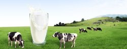 企业网站banner牛奶背景高清图片