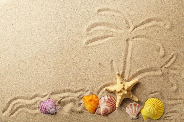 沙滩上的海星与贝壳jpg设计背景_88icon https://88icon.com 其它类别 图案 图片素材 沙滩 沙滩上的海星与贝壳图片 沙滩上的海星与贝壳图片素材下载 海星 海螺 背景花边 贝壳