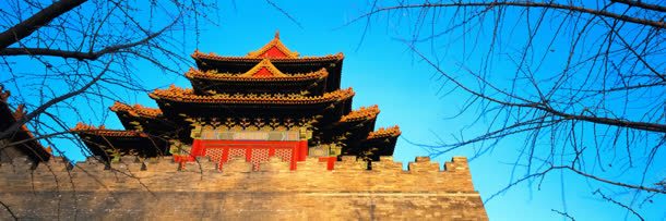 蓝天树枝中国风建筑背景