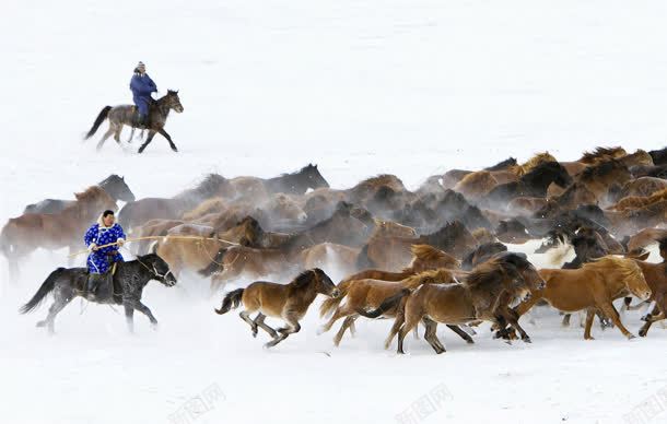 草原里奔腾的马群jpg设计背景_88icon https://88icon.com 奔腾 草原