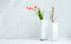 室内花朵室内简约花瓶花朵瓶装花装饰白色背景高清图片