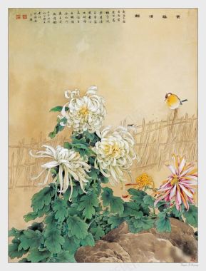 中国名家白色菊花画集背景