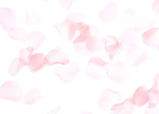 粉色花瓣碎片海报背景背景