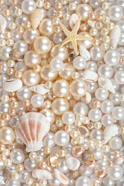 半个扇贝贝壳海星贝壳珍珠背景高清图片