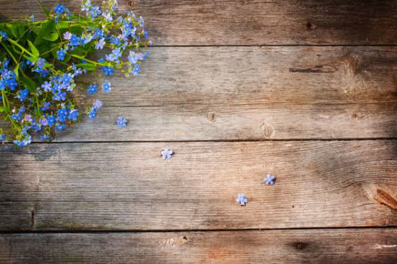 鲜花与木板背景背景