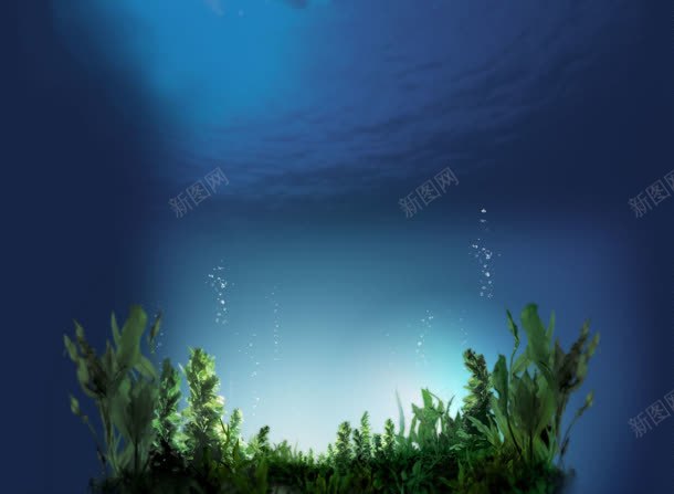 深海下的一片绿水草jpg设计背景_88icon https://88icon.com 水草 深海