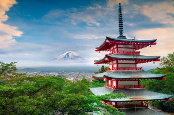 天空森林古楼植物背景