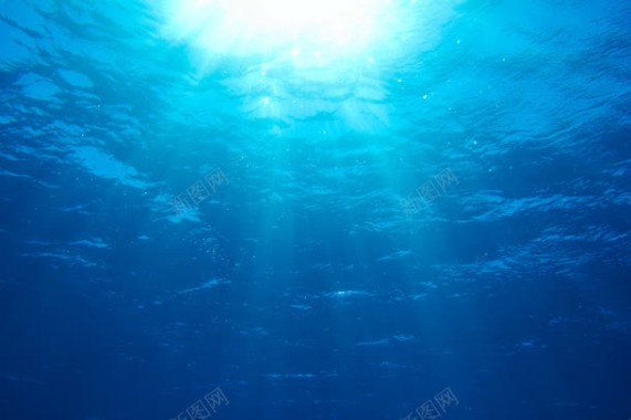 水下摄影水底世界摄影图片