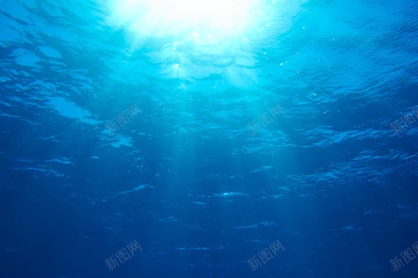 水下摄影水底世界jpg_88icon https://88icon.com 世界 摄影 水下 水底