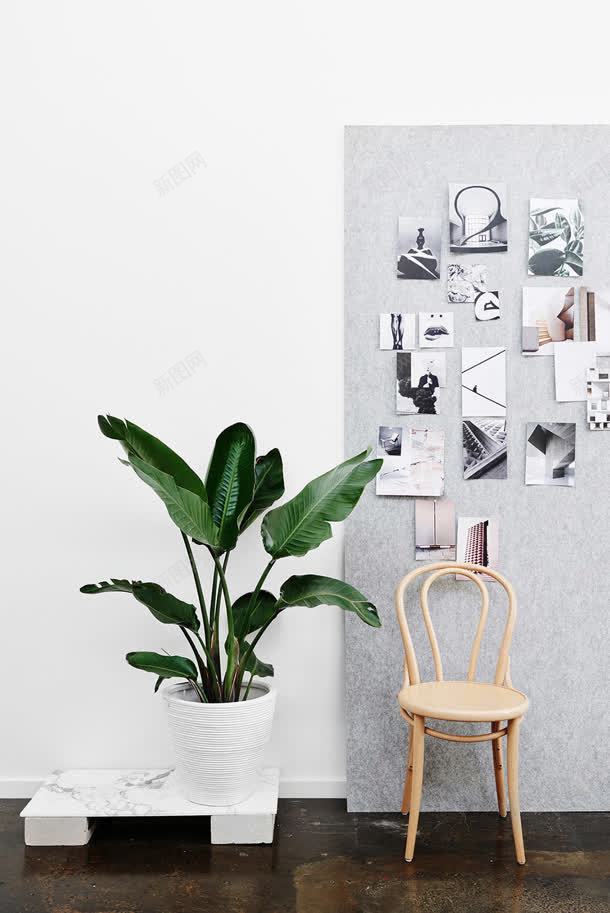 家居室灰色背景板照片墙绿植物jpg设计背景_88icon https://88icon.com 居室 植物 灰色 照片 背景