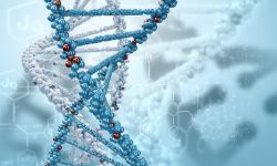 DNA遗传学DNA结构高清图片