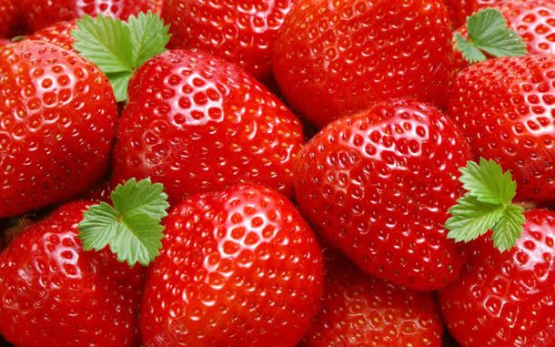 红色草莓成堆jpg设计背景_88icon https://88icon.com 成堆 素材 红色 草莓