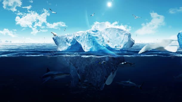 海面上的冰山北极熊海鸥海报背景背景
